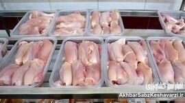 دلیل اختلاف قیمت مرغ؛ تولید چند، بازار چند؟/ شکاف قیمت از مرغداری تا بازار