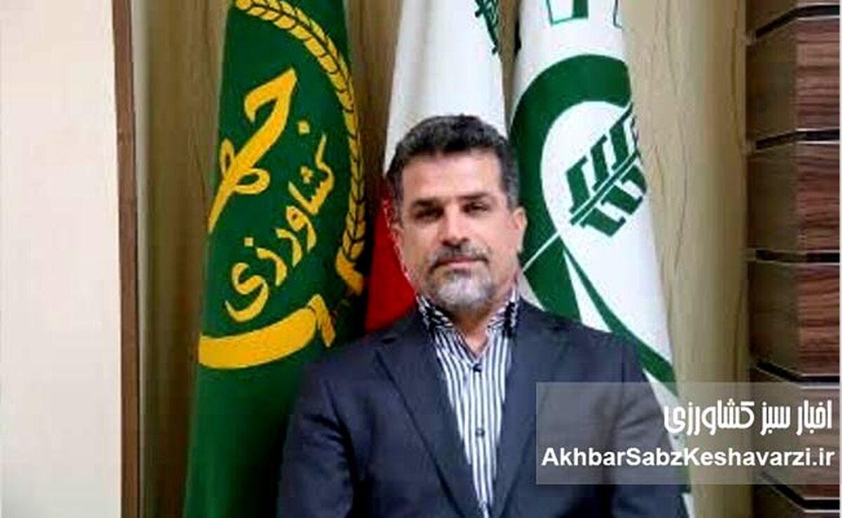 حفظ ۵ میلیون هکتار اراضی درجه‌ یک و دو کشاورزی؛ مأموریتی که امنیت غذایی ایران را بیمه می‌کند