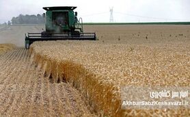 نقشه راه نوزایی کشاورزی ایران؛ آزمون بزرگ امنیت غذایی پس از جنگ
