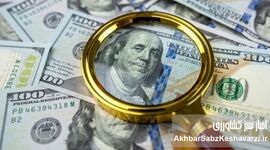   بازار ارز و شکست مدیریت انتظارات؛ چرا دلار به شایعه حساس‌تر است تا واقعیت ؟