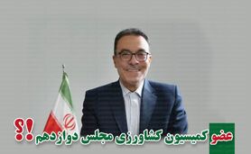 نادرقلی ابراهیمی با بیش از ۳۹ هزار راهی بهارستان شد

