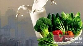 آلودگی هوا امانتان را بریده؟ با این خوراکی‌ها خودتان را نجات دهید!