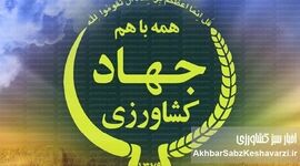 آدرس غلط ندهیم/ با مسبب اصلی برخورد شود