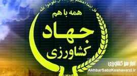آدرس غلط ندهیم/ با مسبب اصلی برخورد شود