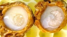 ژل رویال چیست و چه خواصی دارد؟

