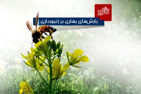 تأثیر بارش‌های بهاری بر زنبورداری