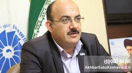 صنعت طیور ایران در بحران؛ سیاست‌های دولت مرهم است یا نمک بر زخم؟