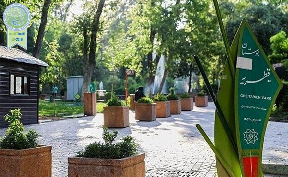 مسجد قیطریه؛ هنرمندی نجومی و سناریوی رسانه‌ای

