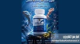 تأثیر مکمل امگا فوراور بر سلامت قلب و مغز؛ فراتر از یک مکمل ساده