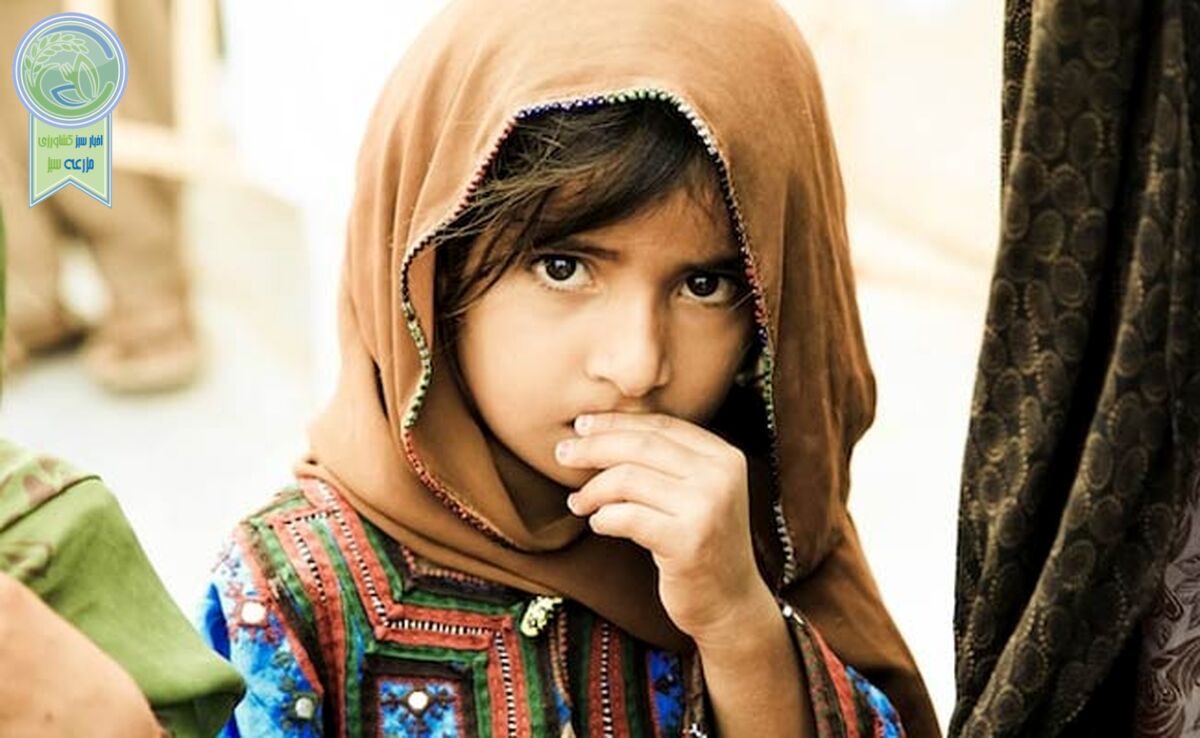 دور ریز غذا و مسئله گرسنگی

