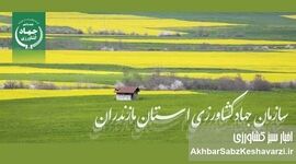 رئیس جدید سازمان جهاد کشاورزی مازندران معرفی شد