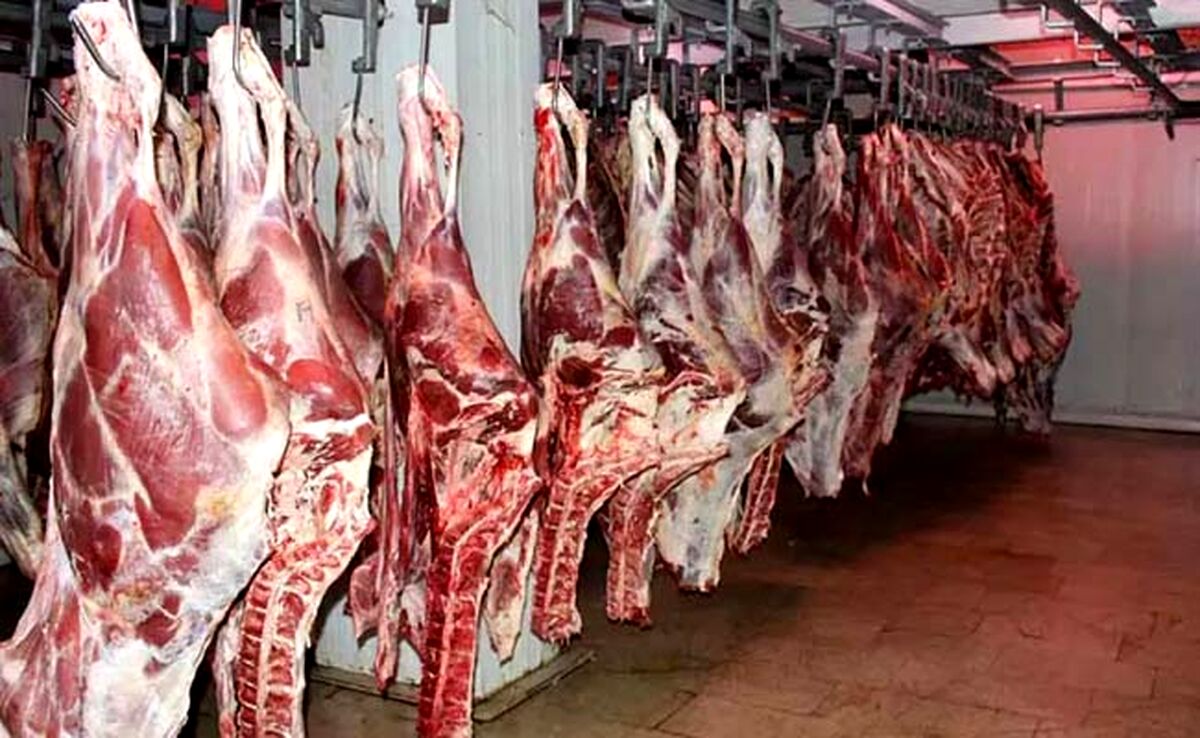 عوارض واردات گوشت قرمز اعلام شد | نرخ جدید به ازای هر کیلو ۱۱۰۰۰ ریال

