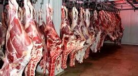 کاهش قیمت گوشت و مرغ در راه است؟ سیگنال تازه بازار

