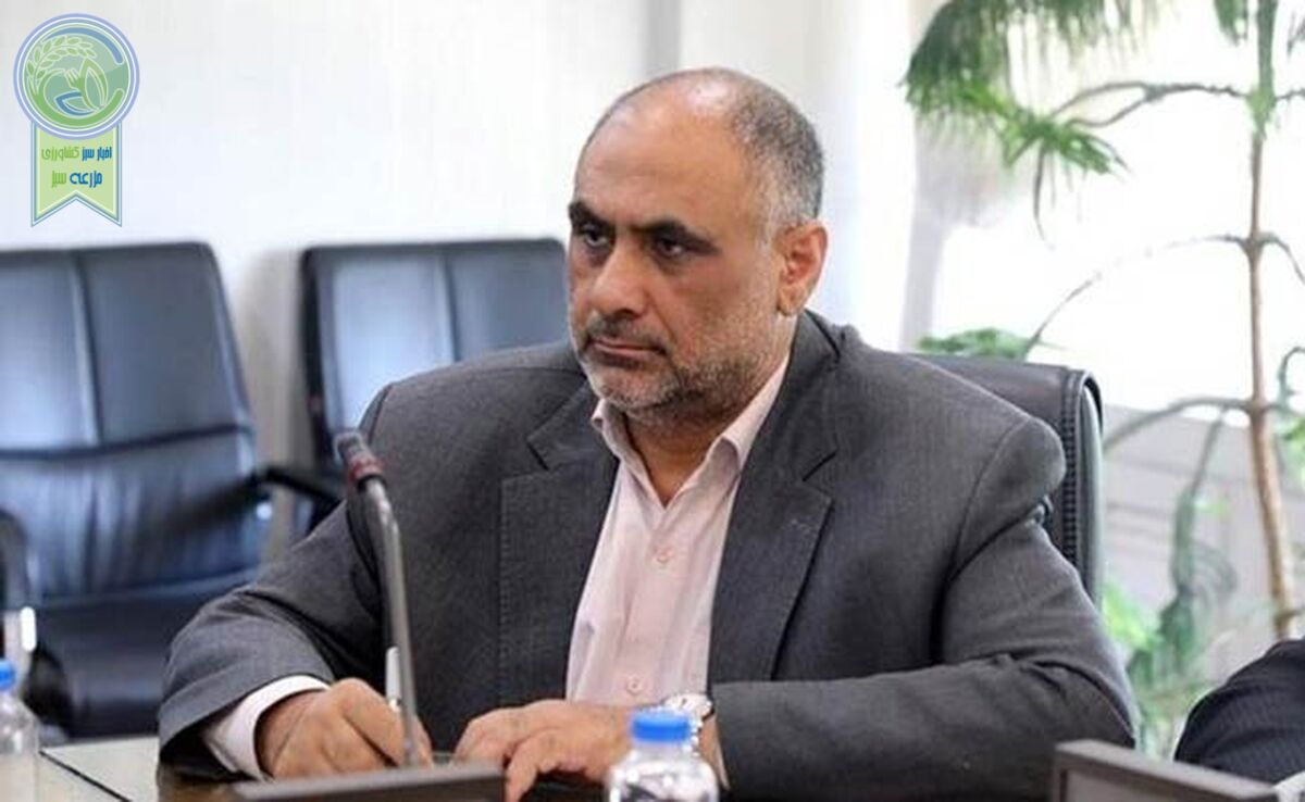 تولید مرغ کشور از ۱۵۱ میلیون گذشت