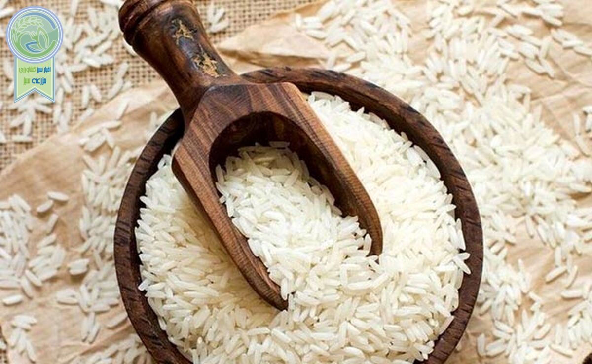 کاهش واردات ۱۵ درصدی برنج