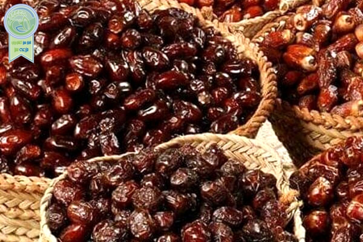 70 کشور جهان مشتری خرمای ایرانی


