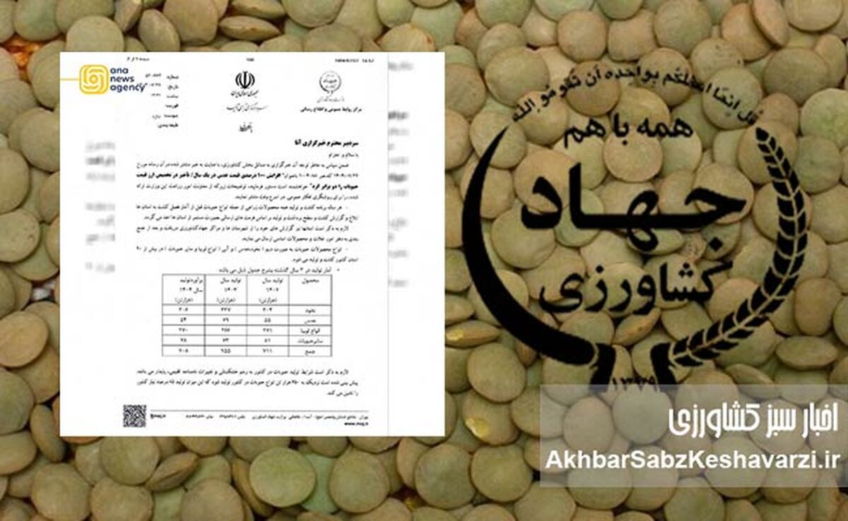 کاهش ۵۱ درصدی تولید حبوبات در دوران صدارت نوری+نامه 