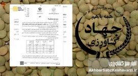 کاهش ۵۱ درصدی تولید حبوبات در دوران صدارت نوری+نامه 