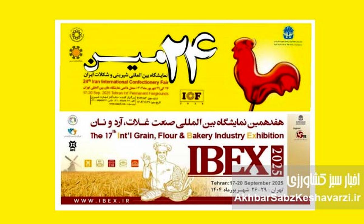 صنعت شیرینی و شکلات ایران: ارزآوری، پتانسیل صادراتی و جایگاه در بازارهای جهانی