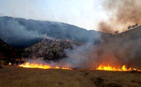 آتش‌سوزی‌های سریالی در جنگل‌های خوزستان به اوج رسید


