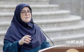 جمع‌آوری دیش ماهواره؟ واکنش مهاجرانی: غیرقانونی و تهدیدی است!