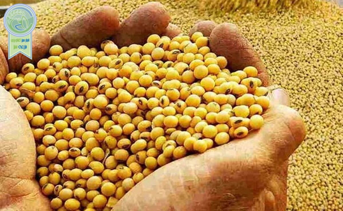 بازار نهاده‌های دامی متعادل است


