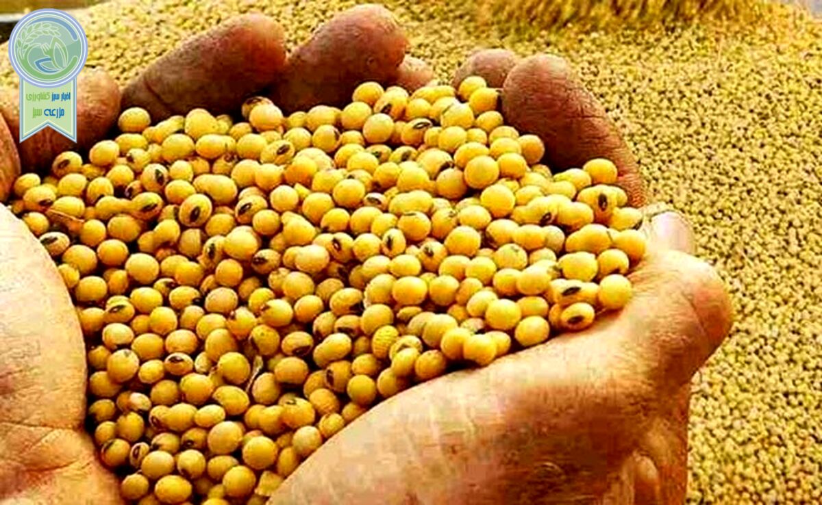 بازار نهاده‌های دامی متعادل است


