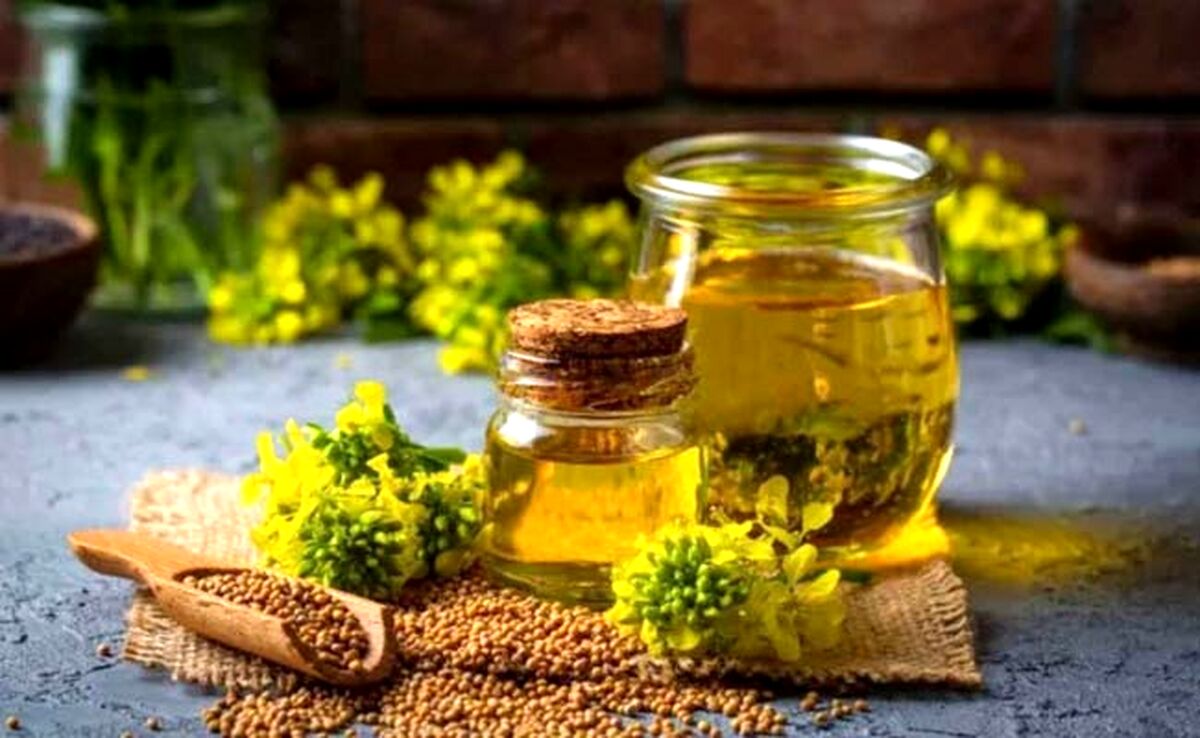 کانولا بهترین روغن برای پخت و پز

