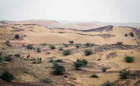 مالچ‌نفتی خوزستان را بار دیگر سیاه‌پوش کرد

