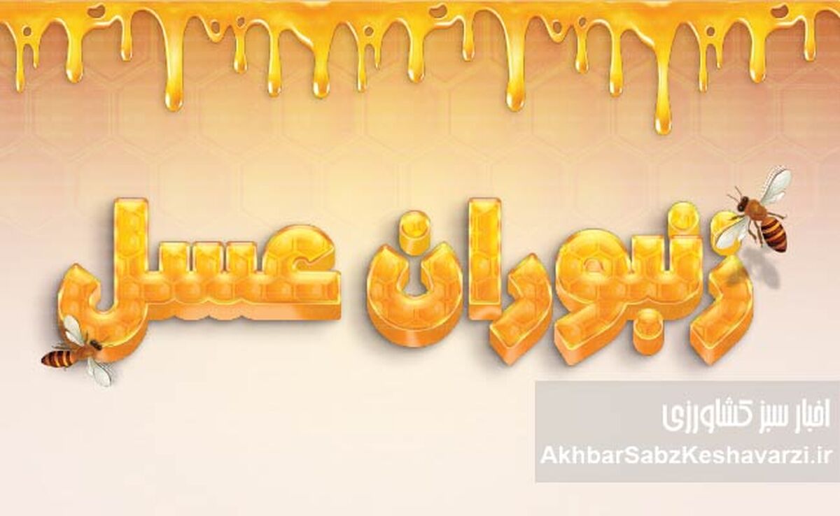 حقایقی درباره زنبوران عسل