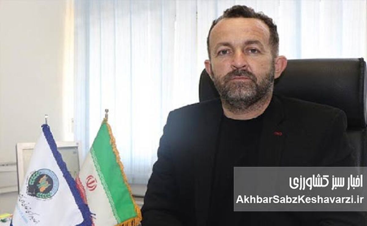 رئیس اتحادیه دامداران ایران: بازار گوشت به مرز بحران رسیده / هشدارها نادیده گرفته شد، تولید در خطر است