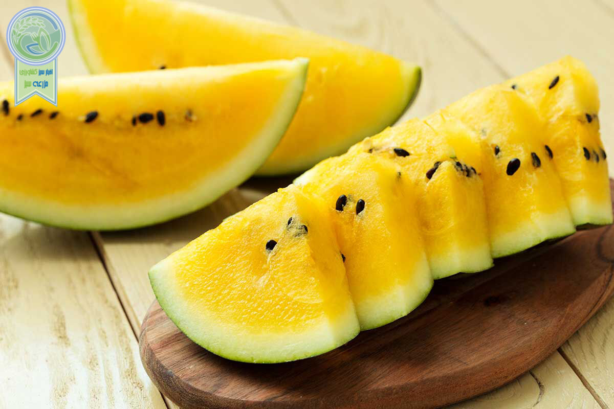 از سیر تا پیاز تاریخچه هندوانه زرد رنگ