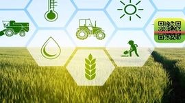 نظارت بر مزارع و باغات کلید حفظ محصول از آفات

