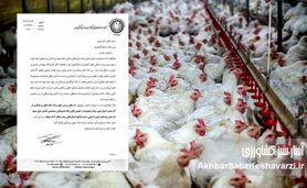 اعتراض گسترده مرغداران به قوانین جدید؛ دامپزشکان و مهندسان دامپروری فقط بار مالی اضافه هستند+ نامه