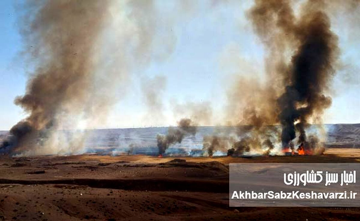 توهم بازسازی طبیعت؛ هشدار جدی درباره تبعات ۴۰ روز جنگ

