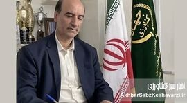 ​آغاز برداشت ۹۲۰۰ هکتار زعفران در تربت حیدریه؛ جزئیات عملکرد، آموزش و فرآوری