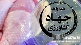 نسل‌کشی سالمونلا، همسو با جنایات آمریکا+نامه