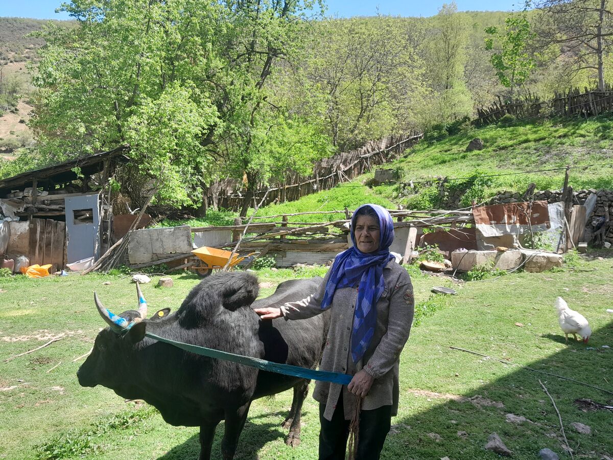 خانم بس؛ بانوی بی‌بدیل روستای کجور+ فیلم

