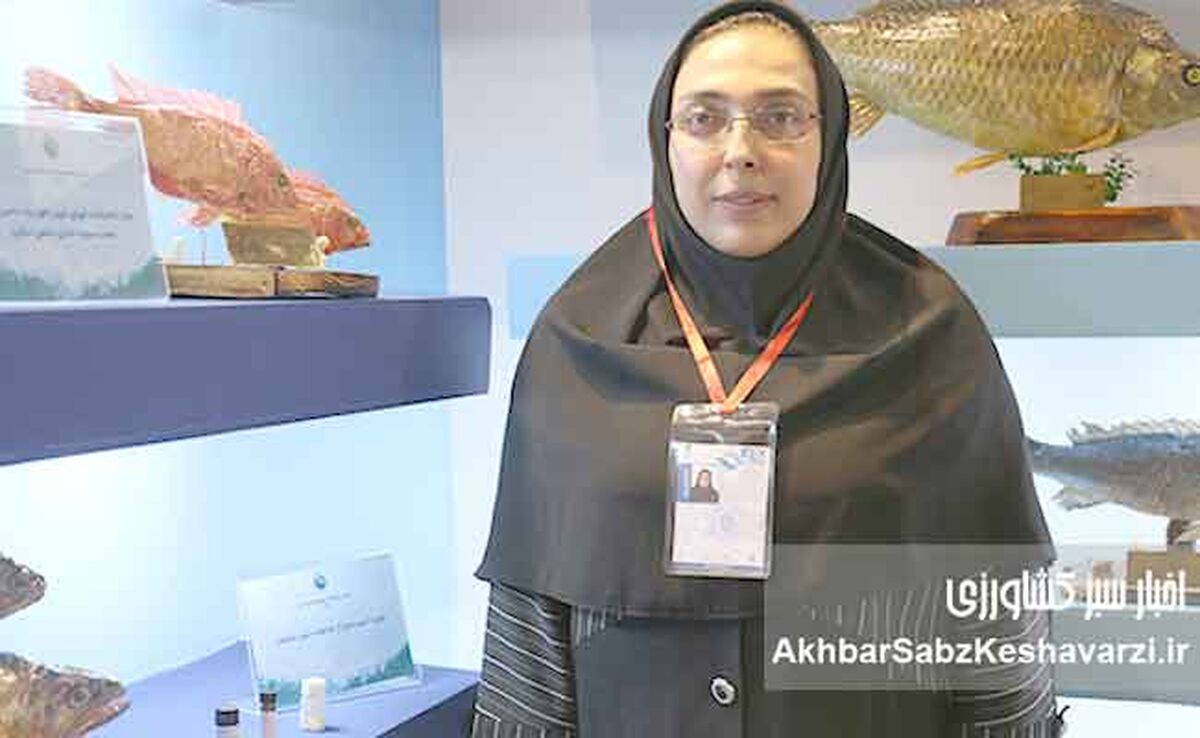 برای نخستین بار در کشور؛ نسل ششم پرورشی ماهی آزاد دریای کاسپین وارد قفس‌های پرورش ماهی شد