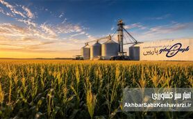 روایتی از پایان یک انتظار فرساینده؛ عبور «زپارس» از بحران ۳۰ ماهه