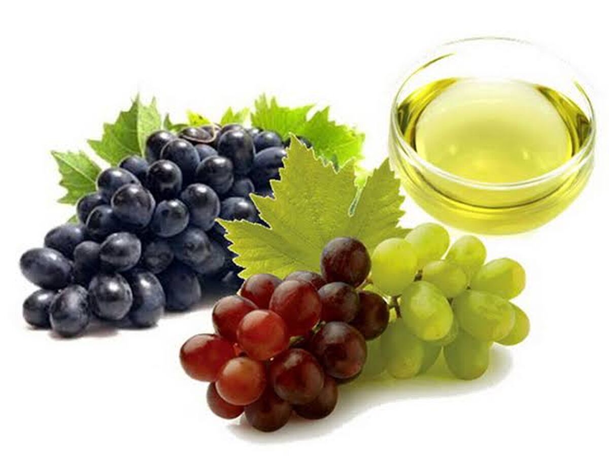 استخراج روغن هسته میوه‌ها؛ ارزش افزوده پنهان در تفاله صنایع