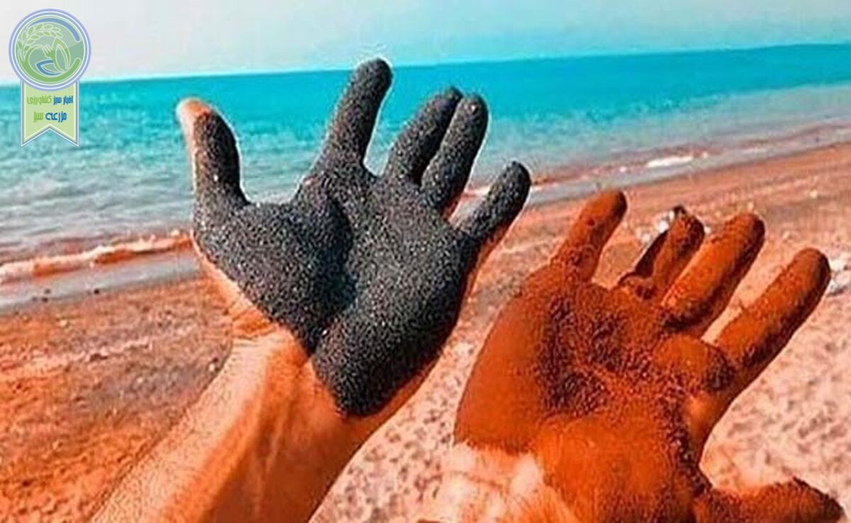 گردشگری بی‌ضابطه بلای جان سواحل نقره‌ای هرمزگان