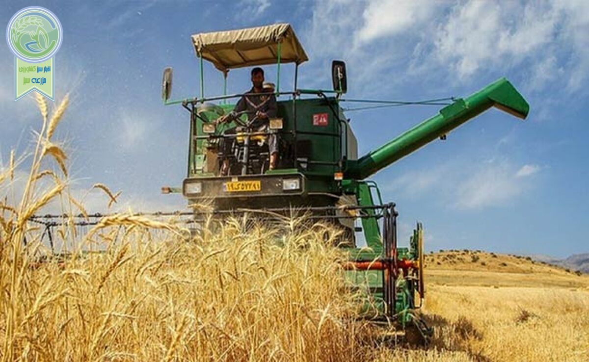 آغاز رسمی خرید تضمینی گندم/ قیمت هر کیلو ۲۰,۵۰۰ تومان