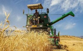 آغاز رسمی خرید تضمینی گندم/ قیمت هر کیلو ۲۰,۵۰۰ تومان