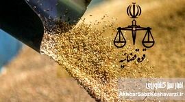 ورود دستگاه قضایی مشکل تامین نهاده های دامی را آسیب شناسی می کند؟