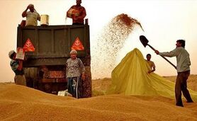 هر دم از این باغ بری می‌رسد، این بار واردات گندم+ویدئو