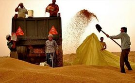هر دم از این باغ بری می‌رسد، این بار واردات گندم+ویدئو