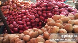 زنگ خطر در سفره‌ها؛ ورود سیب‌زمینی و پیاز به فهرست کالابرگ