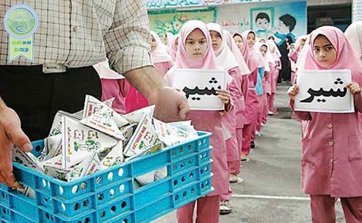 امسال خبری از توزیع شیر در مدارس نیست

