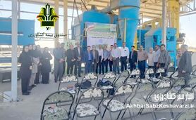  برگزاری یازدهمین دوره کاروان ترویج الگوی کشت ملی با مشارکت فعال صندوق بیمه کشاورزی